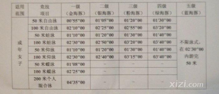 全明星街球派对电脑版下载_全明星街球派对PC版下载_MuMu模拟器