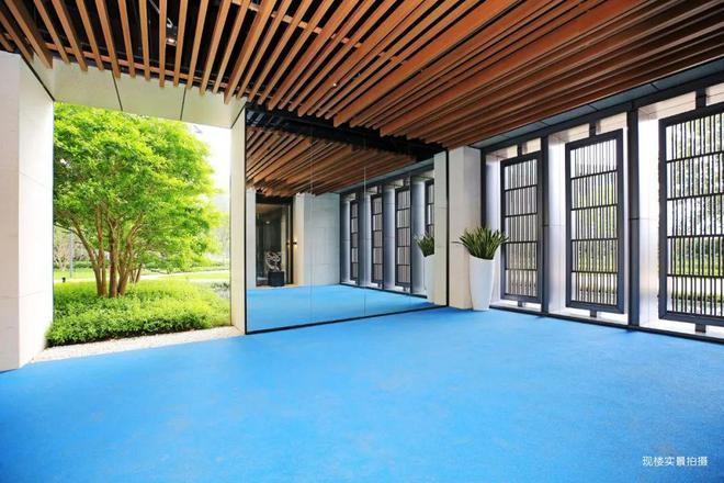 【新世界临海揽山别墅】南山蛇口现楼叠墅最新图文解析!(图16)