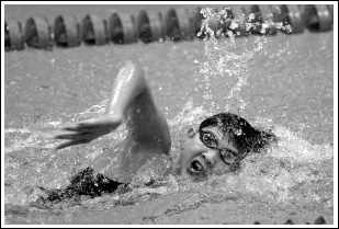 幻想全明星手机版正版免费(图1) 幻想全明星手机版正版免费