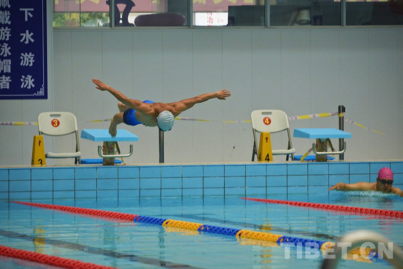 科普 游泳的起源(图1) 科普 游泳的起源