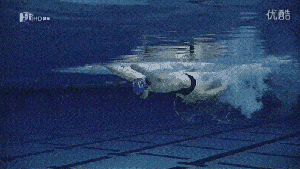 快速学好四种泳姿这套动态图可以帮助你!!(图1) 快速学好四种泳姿这套动态图可以帮助你!!