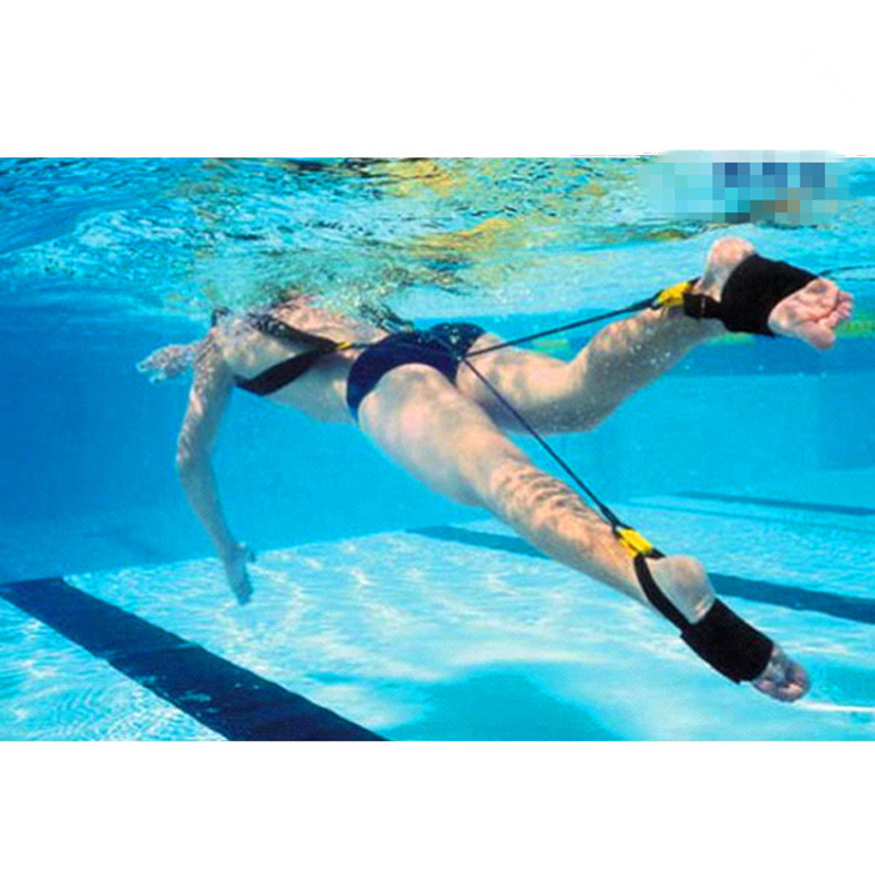 探究明代的军事制度(图1) 探究明代的军事制度