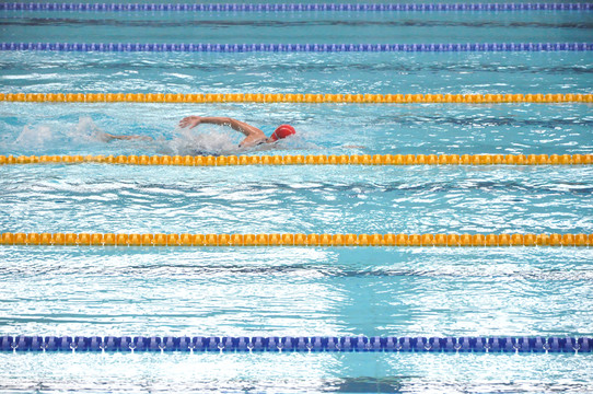 游泳奥运会蛙泳蝶泳仰泳_网易体育