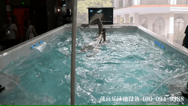 当游泳池遇上层流推进器之无边际泳池(游泳训练器、无边际机组)(图1)