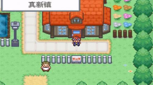 口袋妖怪口袋暴龙50(图1)