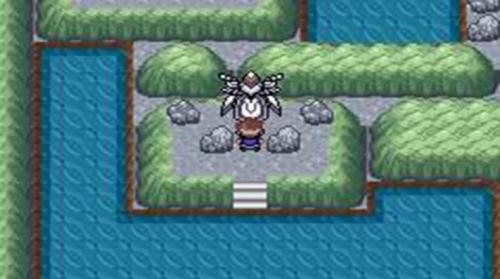 口袋妖怪口袋暴龙50(图2)