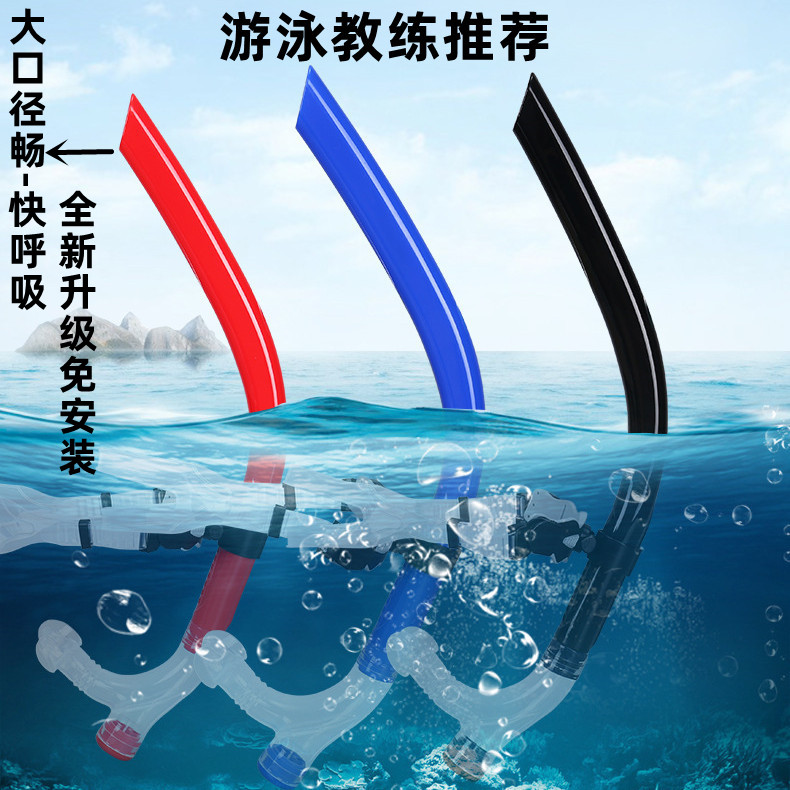 业余游泳等级大揭秘:你离金海豚还差多远?(图1) 业余游泳等级大揭秘:你离金海豚还差多远?