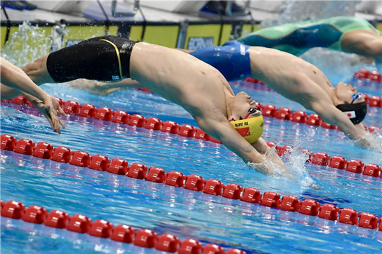 福建省游泳跳水运动管理中心签署7014800元跳水跳板采购合同助力未来竞技发展