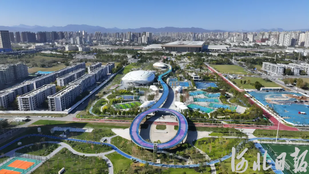 成绩单来啦!河北体育这些“全国第一”很硬核(图3)