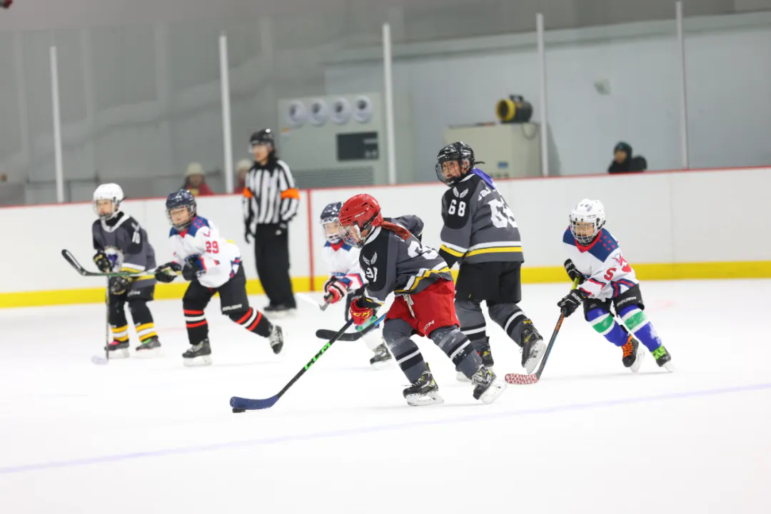 成绩单来啦!河北体育这些“全国第一”很硬核(图5)