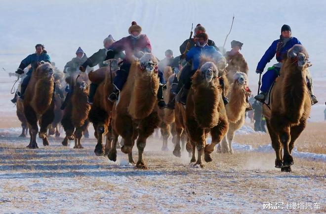 MANTA 携手WINBO助燃2025第九届冰雪嘉年华(图2)