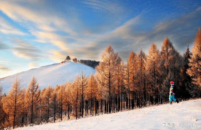 MANTA 携手WINBO助燃2025第九届冰雪嘉年华(图3)