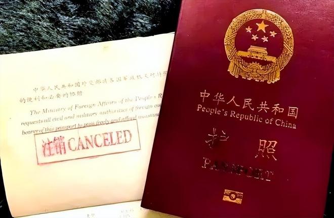 国籍严查打响第一枪!华人被拦机场“双面人”中国坚决不要!(图18)