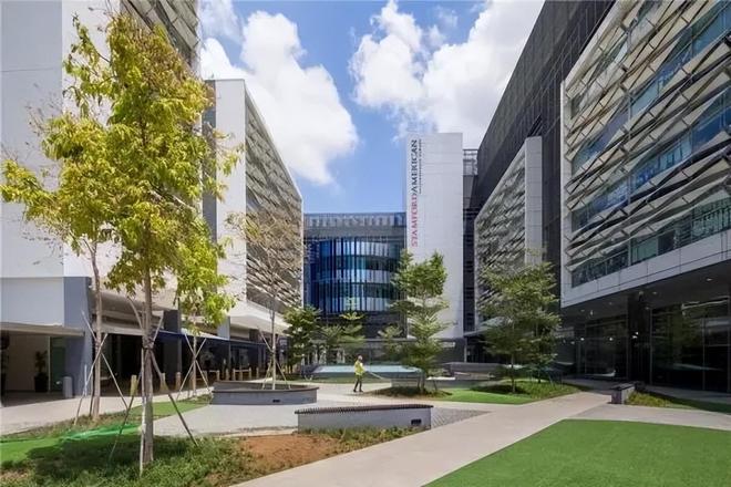 国籍严查打响第一枪!华人被拦机场“双面人”中国坚决不要!(图14)