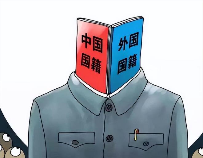 国籍严查打响第一枪!华人被拦机场“双面人”中国坚决不要!(图16)