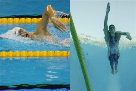 2026年全国专业游泳赛事重磅发布：杭州与北京将成焦点