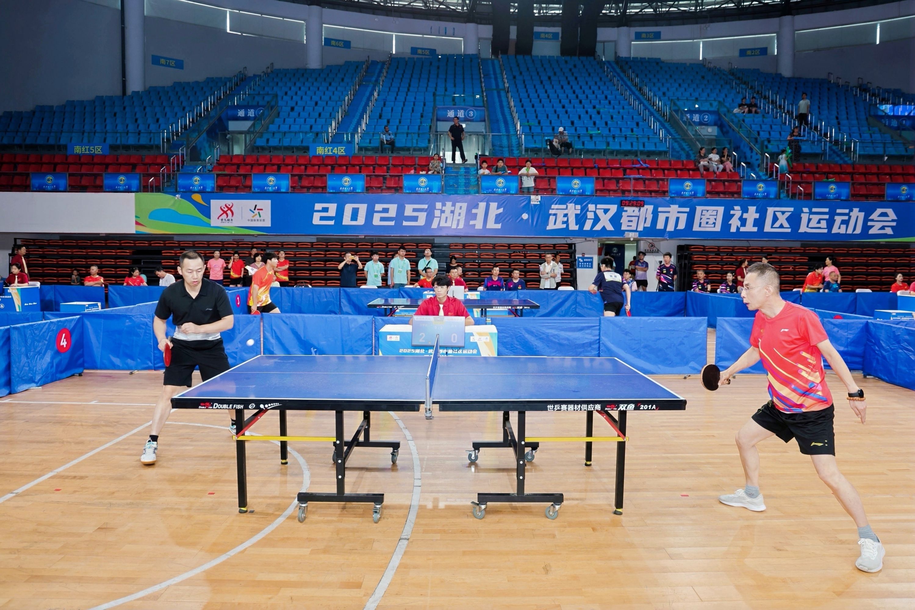 游泳竟然是这样出现的！