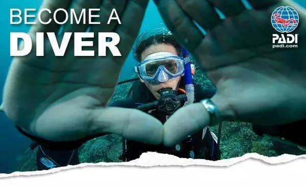 游泳辅助训练器说明