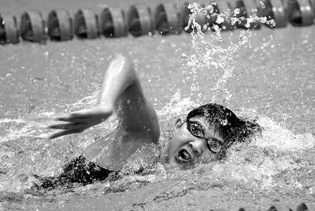 马年说马 民族风情 · 竞技图