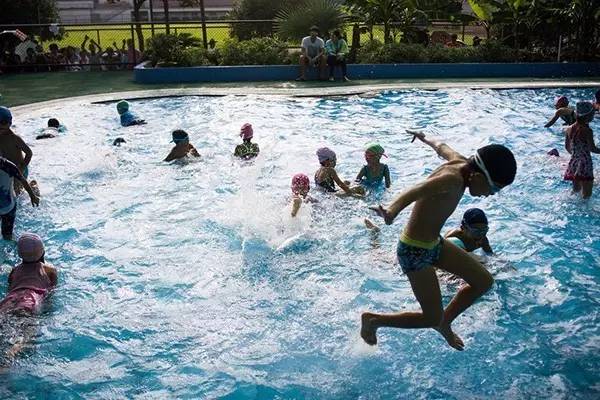 孙扬、徐嘉余、傅园慧、叶诗文、罗雪娟、吴鹏……为什么泳坛高手都出自浙江?(图4)